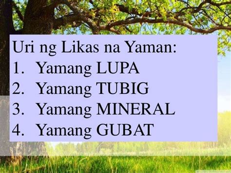 likas na yaman ng cavite|LIKAS NA YAMAN: Kahulugan, Mga Anyo At Mga Uri .